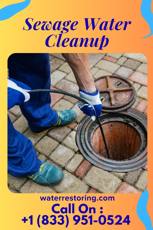 Sewage Water Cleanup in Jordan, MN